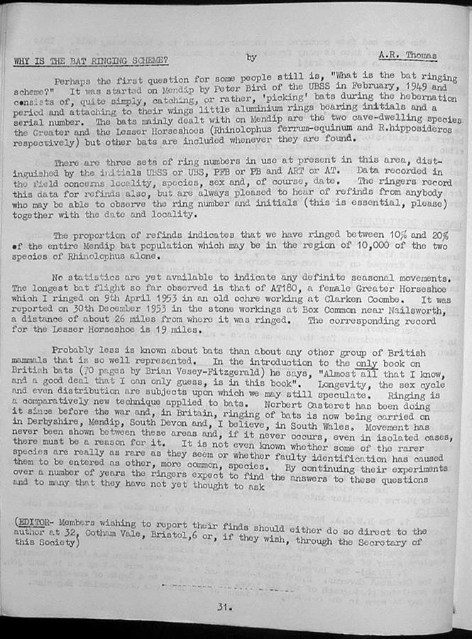Page 31.jpg